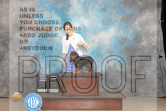 Cavalier King Charles Spaniel #12 Thur WB Judge Gloria Kerr_JP_0030_MIDLAND2024_HR3