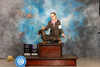 Dachshund Wirehaired #8 Thur BPWB Judge Judith Brown