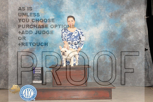 French Bulldog #8 Thur WB Judge Tim Robbins_JP_0044_MIDLAND2024_HR3