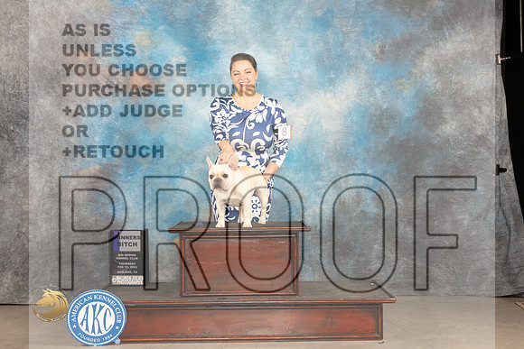 French Bulldog #8 Thur WB Judge Tim Robbins_JP_0045_MIDLAND2024_HR3