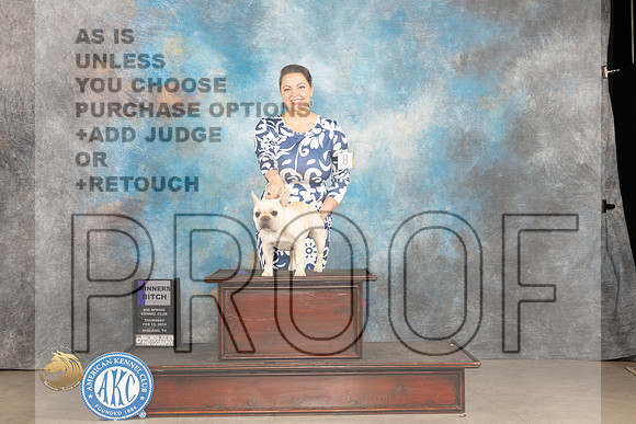 French Bulldog #8 Thur WB Judge Tim Robbins_JP_0046_MIDLAND2024_HR3