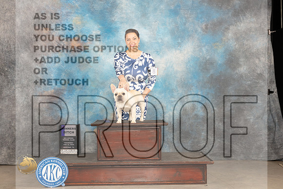 French Bulldog #8 Thur WB Judge Tim Robbins_JP_0047_MIDLAND2024_HR3