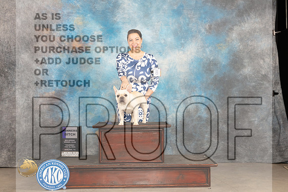 French Bulldog #8 Thur WB Judge Tim Robbins_JP_0048_MIDLAND2024_HR3