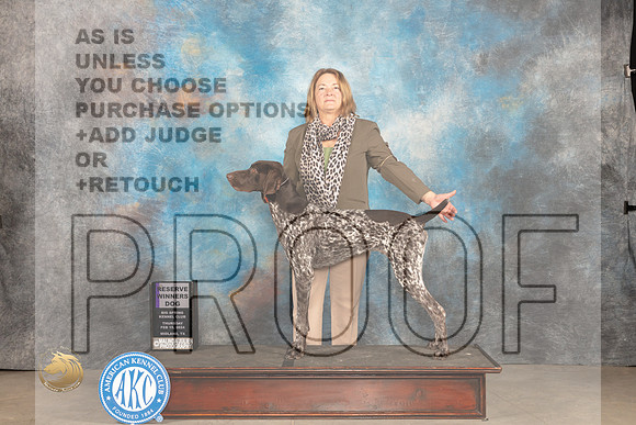 German Shorthaired POinter #9 Thur RWD Judge Gloria Kerr_JP_0026_MIDLAND2024_HR3