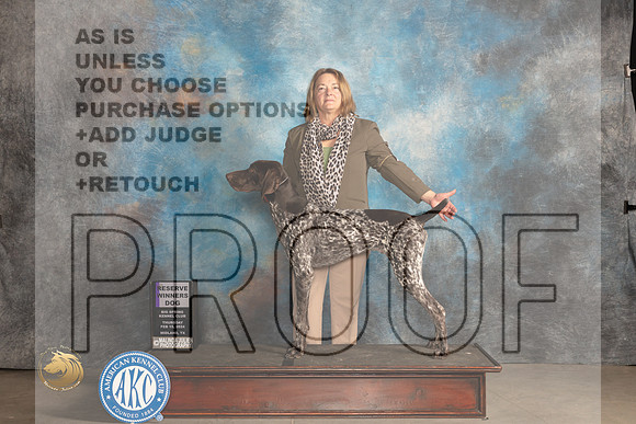 German Shorthaired POinter #9 Thur RWD Judge Gloria Kerr_JP_0027_MIDLAND2024_HR3