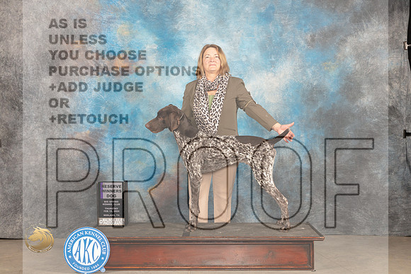 German Shorthaired POinter #9 Thur RWD Judge Gloria Kerr_JP_0029_MIDLAND2024_HR3