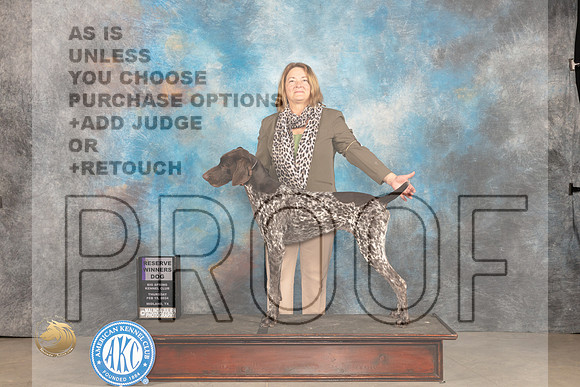 German Shorthaired POinter #9 Thur RWD Judge Gloria Kerr_JP_0030_MIDLAND2024_HR3