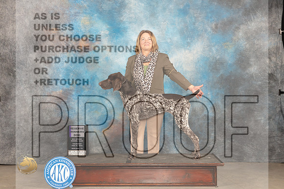 German Shorthaired POinter #9 Thur RWD Judge Gloria Kerr_JP_0031_MIDLAND2024_HR3
