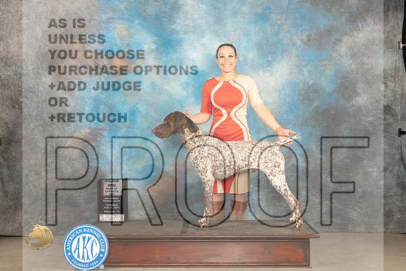 German Shorthaired Pointer #5 Thur BOS JUdge Gloria Kerr_JP_0018_MIDLAND2024_HR3
