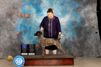 German Shorthaired Pointer #8 Thur WBBOWOHBOB Judge Gloria Kerr