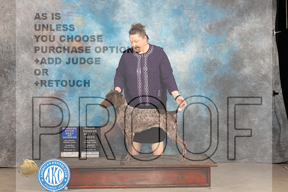 German Shorthaired Pointer #8 Thur WBBOWOHBOB Judge Gloria Kerr_JP_0062_MIDLAND2024_HR3
