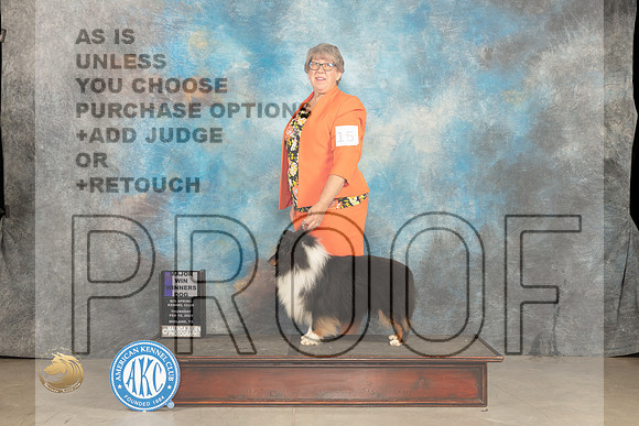 Shetland Sheepdog #15 Thur WBM Judge Del Richards r_JP_0069_MIDLAND2024_HR3