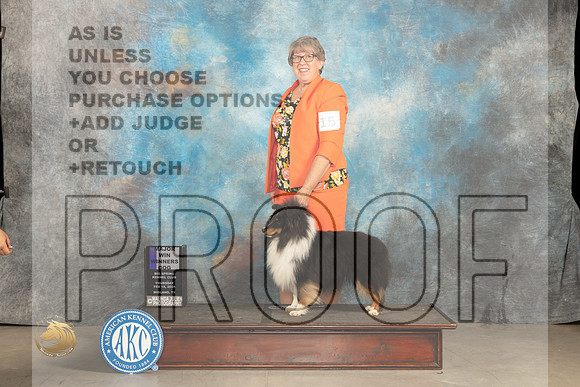 Shetland Sheepdog #15 Thur WBM Judge Del Richards r_JP_0070_MIDLAND2024_HR3