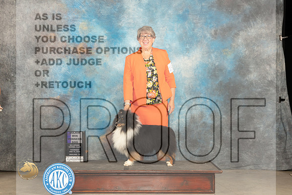 Shetland Sheepdog #15 Thurs WBM Judge Del Richards_JP_0013_MIDLAND2024_HR3
