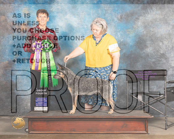 Australian Cattle Dog #123 Thur G4 Judge Rosemarie OHara_MMJ_4602_BeltonTxClassic2021-HR3