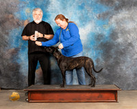 Dutch Shepherd Thurs
