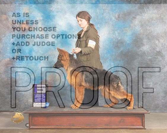 German Shepherd Dog #217 Thurs WD Judge Rose Marie OHara_MMJ_4517_BeltonTxClassic2021-HR3