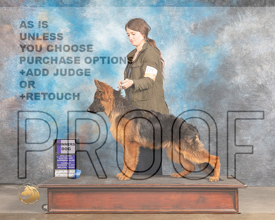 German Shepherd Dog #217 Thurs WD Judge Rose Marie OHara_MMJ_4518_BeltonTxClassic2021-HR3