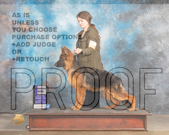 German Shepherd Dog #217 Thurs WD Judge Rose Marie OHara_MMJ_4519_BeltonTxClassic2021-HR3