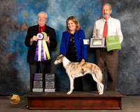 Silken Windhound #28 Thur RWB PBIS Judge Robert Stein
