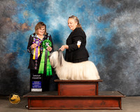 Skye Terrier #108 Thurs G4 Judge Debbie Mitchell