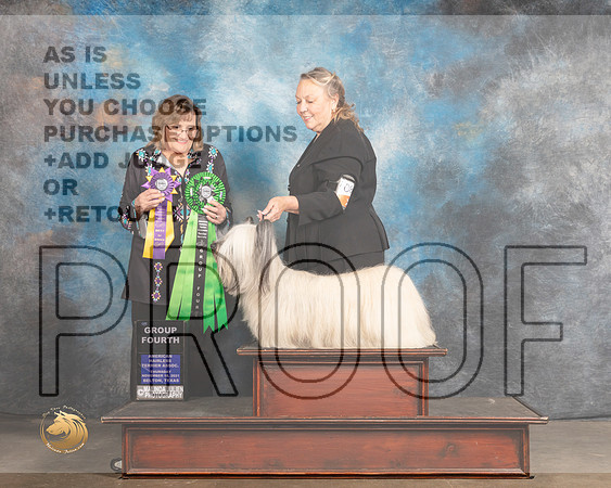 Skye Terrier #108 Thurs G4 Judge Debbie Mitchell_MMJ_4589_BeltonTxClassic2021-HR3