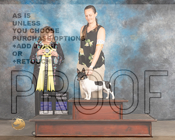 Teddy Roosevelt Terrier #110 Thurs G3 Judge Debbie Mitchell_MMJ_4585_BeltonTxClassic2021-HR3