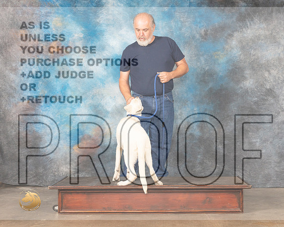 White Shepherd Test_MMJ_4454_BeltonTxClassic2021-HR3
