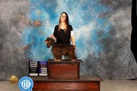 Cocker Spaniel #6 Thur BOBPB Judge Donnelle Richards