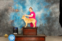 Mudi #8 Thur BOBBOW Judge Del Richards