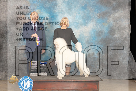 Poodle Std #8 Thur BOBBOW Judge Tim Robbins_JP_0118_MIDLAND2024_HR3