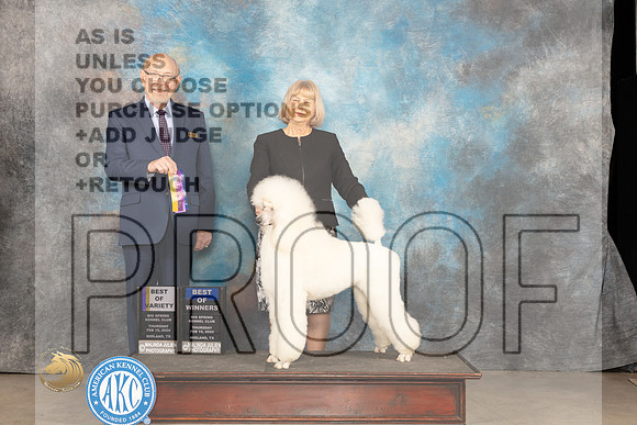 Poodle Std #8 Thur BOBBOW Judge Tim Robbins_JP_0120_MIDLAND2024_HR3