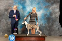 Whippet #7 Thurs WDBOS Judge Tim Robbins