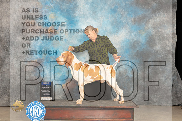 Bracco #7 Thur BOW Judge Gloria Kerr_JP_0258_MIDLAND2024_HR3