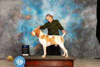 Bracco #7 Thur BOW Judge Gloria Kerr