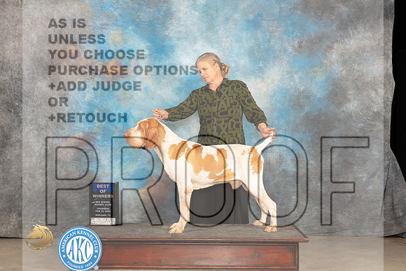 Bracco #7 Thur BOW Judge Gloria Kerr_JP_0262_MIDLAND2024_HR3