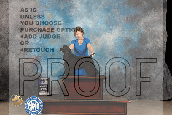 Cocker Spaniel Black #8 Thur WB Judge Gloria Kerr_JP_0246_MIDLAND2024_HR3