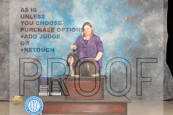 Havanese #10 Thur BOBOHBBOBOHG3GCh Judge Carolyn Herbel_JP_0296_MIDLAND2024_HR3
