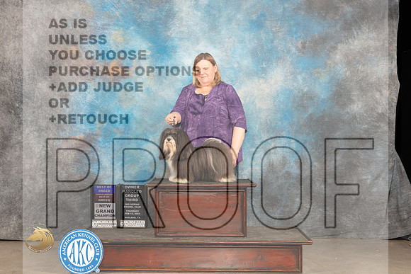 Havanese #10 Thur BOBOHBBOBOHG3GCh Judge Carolyn Herbel_JP_0297_MIDLAND2024_HR3