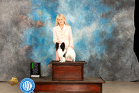 Papillon #15 Thur OHG2 Judge Carolyn Herbel