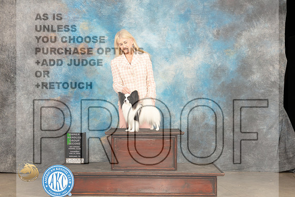 Papillon #15 Thur OHG2 Judge Carolyn Herbel_JP_0304_MIDLAND2024_HR3