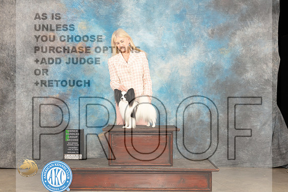 Papillon #15 Thur OHG2 Judge Carolyn Herbel_JP_0307_MIDLAND2024_HR3