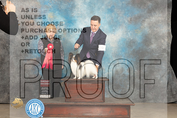 Papillon #9 Thur G2 Judge Judy Brown_JP_0270_MIDLAND2024_HR3