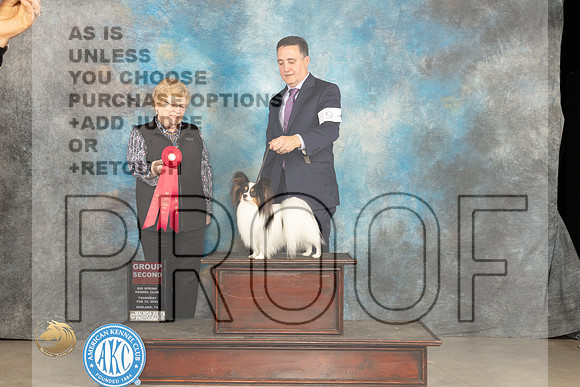 Papillon #9 Thur G2 Judge Judy Brown_JP_0271_MIDLAND2024_HR3