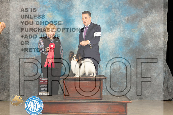 Papillon #9 Thur G2 Judge Judy Brown_JP_0272_MIDLAND2024_HR3