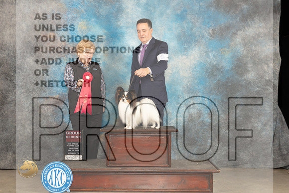 Papillon #9 Thur G2 Judge Judy Brown_JP_0273_MIDLAND2024_HR3