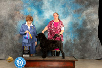 Portuguese Water Dog #11 Thur WDBOBM Judge Donelle Richards