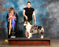 Australian Shepherd #20 Thurs Judge Debbie Mitchell