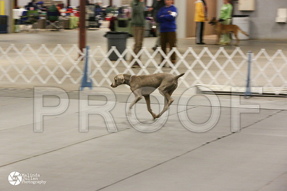 MJ2_7859-BltnApr14-HR