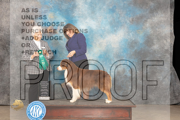 Australian Shepherd #17 Thur WDOHBOBOHG3 Judge Gloria Kerr_JP_0421_MIDLAND2024_HR3